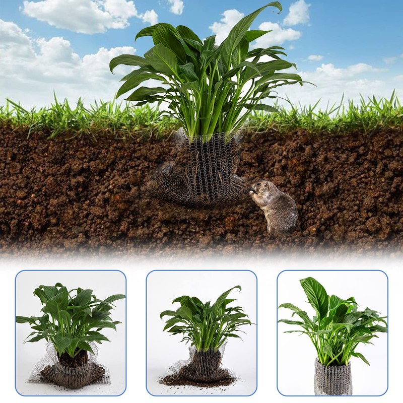 Root Guard Gopher Proof Wire Basket Mole and Vole Mesh