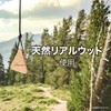 カーメイト(CARMATE) 車用 消臭芳香剤 ルーノ ハンギングウッド 吊り下げ型 天然木 プルメリア&ラズベリー 14g H613