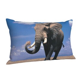 YUMEBLTD Cartoon Cow Pillow Cover, Stylish, Cotton Blend, Washable, Dust Mite Resistant, Moisture Wicking, Antibacterial, Ultimate Touch, Odor Resistant, Soft, Sensitive Skin, Four Seasons (Elephant,