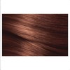 L'Oreal Excellence Creme 6.54 Light Copper Mahogany Brown Hair Colour