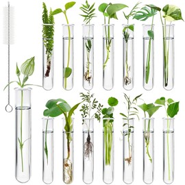 15 Piezas de Tubos de Ensayo Transparentes para Plantas, Tubos de Propagación de 20ml con Cepillo, Tubos de Ensayo de Plástico para Plantas Hidróponas, Flores, Decoración de Pared para Hogar
