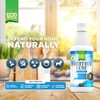 Eco Defense Fruit Fly Killer – Natural Fruit Fly Trap
