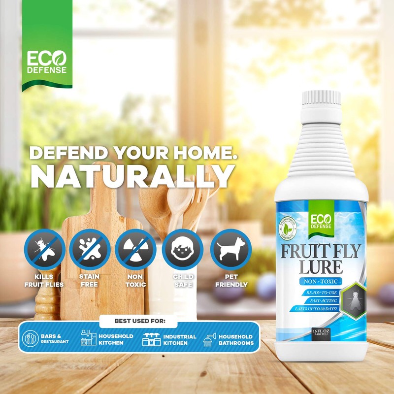 Eco Defense Fruit Fly Killer – Natural Fruit Fly Trap