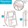 BIRDROCK HOME 2 Step Compact Steel Step Ladder - Sturdy
