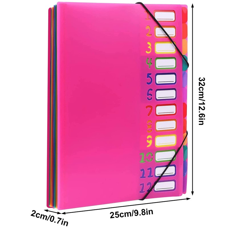 Expanding File Folder Project Folder A4 Organiser Desk Folder 12