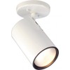 NUVO SF76/418 One Light Close-to-Ceiling Flush Mount, White