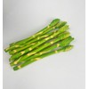 AntranStore 10 Pcs Simulation Asparagus Ornaments Props Realistic Plastic Vegetables