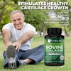 FabLab Bovine Collagen Type I Supplement - Nutritional Supplement for