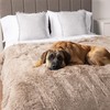PetAmi Waterproof Dog Blanket for Large Dog, Queen Size Calming