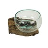 Wide Mouth Molten Glass on Teak Driftwood Decorative Sculptural Bowl,