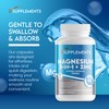 Magnesium 3 in 1, +zinc, 1 Capsule a Day, 60