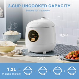 Bear Rice Cooker 4 Cups (UnCooked), Rice Cooker Small, 6 Cooking Functions, Advanced Fuzzy Logic Micom Technology, 24 Hours Preset Keep Warm, for White/Brown Rice Quinoa Oatmeal Soup Cake, 2L Green