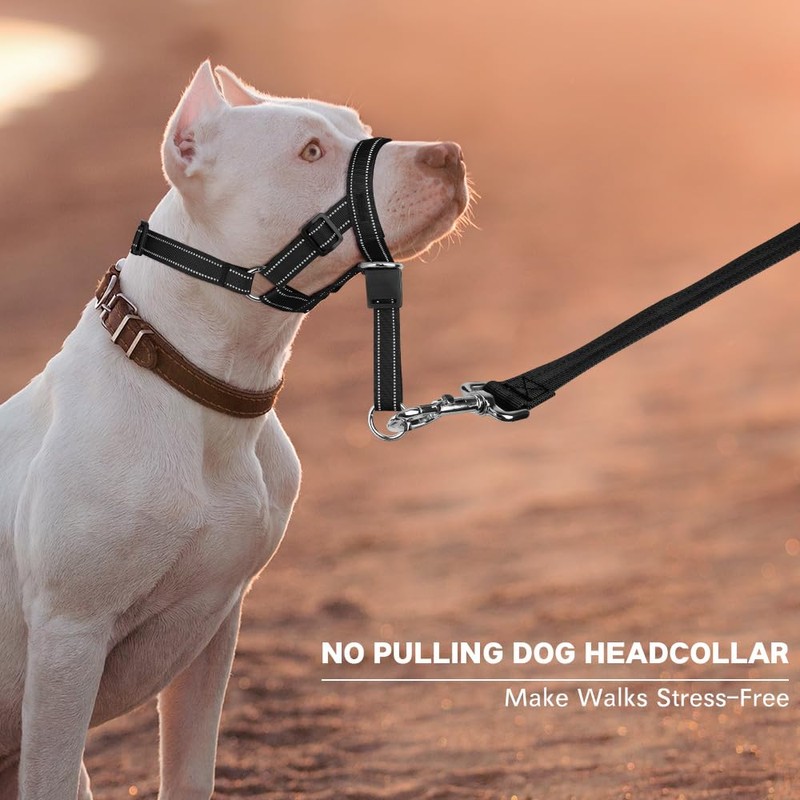 DOMIGLOW No-Pull Dog Headcollar - Reflective Head Halter Collar for