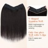 SLEEKALON Black Real Human Hair One Piece Clip in Hair