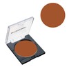 Sanyoshi Light Veil Foundation DC-9 0.4 oz (12 g) HD
