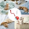 Interactive Cat Ball Toy | Light Up Chirping Cat Interactive