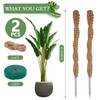 2 Pack 25 Inch Coco Coir Moss Poles for Climbing