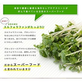 Seedcoms Broccoli Sprout Supplement 360 Capsules – High Sulforaphane Content, Detox & Antioxidant Support, Approx. 6-Month Supply, Made in Japan