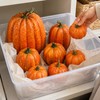 7pcs Artificial Pumpkin Decor for Autumn - Orange Foam Pumpkin