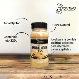 Pontino Jengibre molido, 220 g