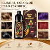 Champú Instant Hair Color Cabello Dye Shampoo Tinte Instantáneo Adecuado