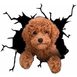 Car Sticker Toy Poodle 3D Crack Dog Sticker Car Decoration Sticker Dog Design 20x19cm Black zis11