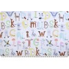 60" Wide Shannon Fabrics Digital Cuddle Easy As ABC Fabric