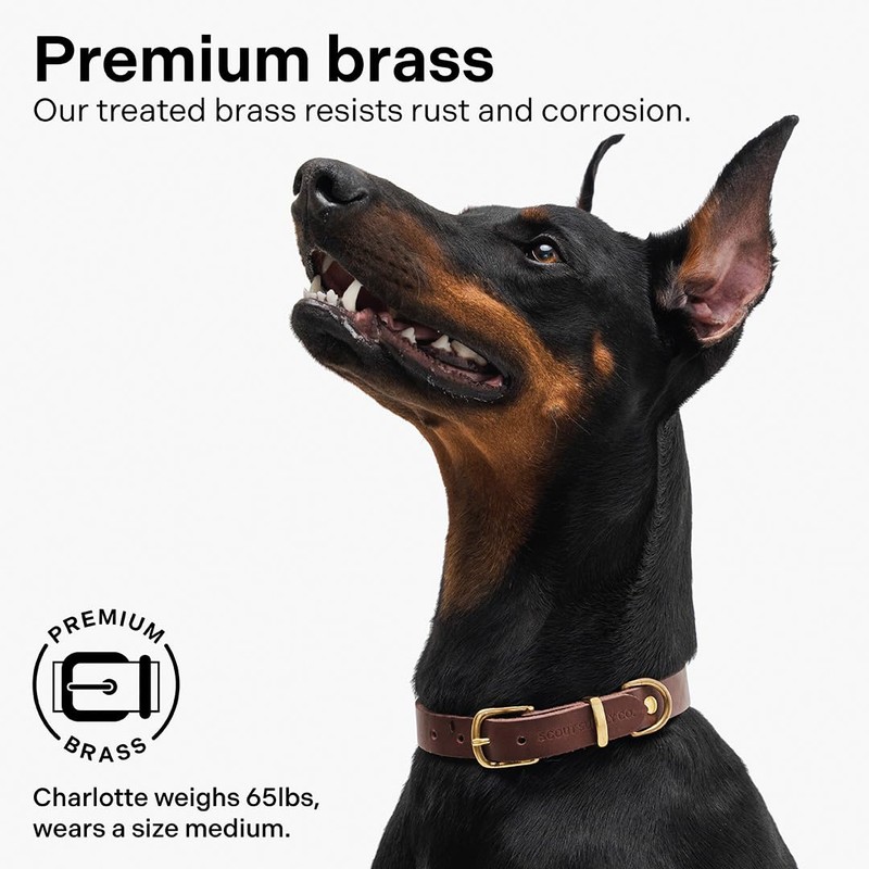 Scout Supply Classic Leather Dog Collar | Heavy Duty Thick