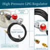 DQSDC 5FT High Pressure Propane Regulator with Gauge - 0-30PSI