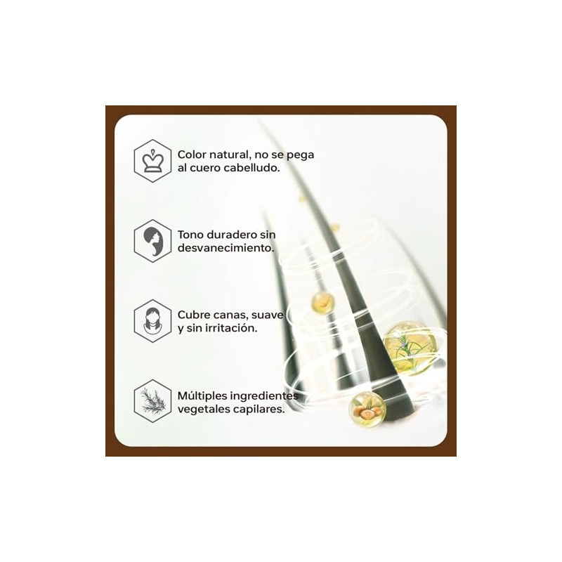 Shampoo para Canas 3 en 1, Shampoo Tinte Instantaneo Cubre