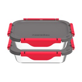 FAITRON Inner Dish Set of 2, Leak-Proof Stainless Steel Bowls with Separator (925 ml), Transport Lid, Temperature Stable up to 200 °C, Suitable for Heatsbox Style, Style+ and GO, Stainless Steel Look