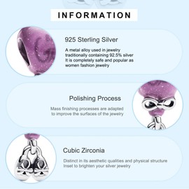 MGIUL Colour-changing Gender Reveal Boy Charm Pendant for Bracelets Necklaces 925 Sterling Silver Pendant Beads Jewellery Gift for Women, Silver, Zircon