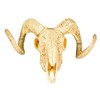 Boland 54319 Decorative Animal Skull with Two Horns, 28 x