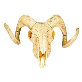 Boland 54319 Decorative Animal Skull with Two Horns, 28 x 36 cm, Taurus, Wild West, Party Decoration for Theme Party and Carnival