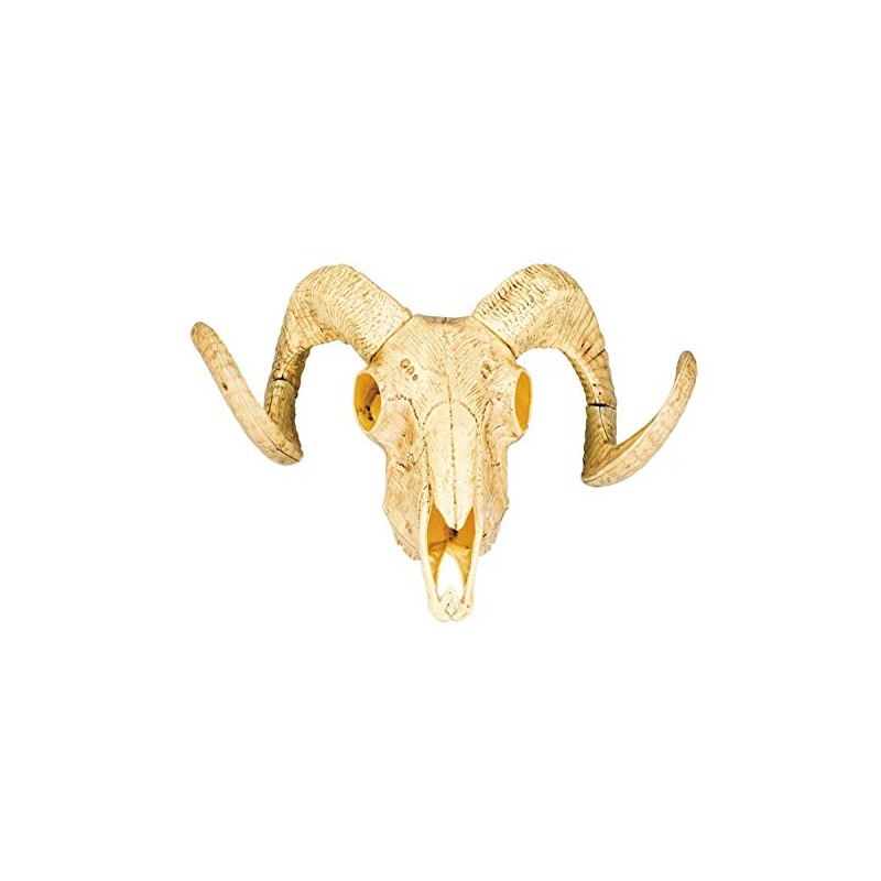 Boland 54319 Decorative Animal Skull with Two Horns, 28 x