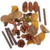 Holibanna 1 Pack Christmas Craft Small Pine Cones Rustic Mini