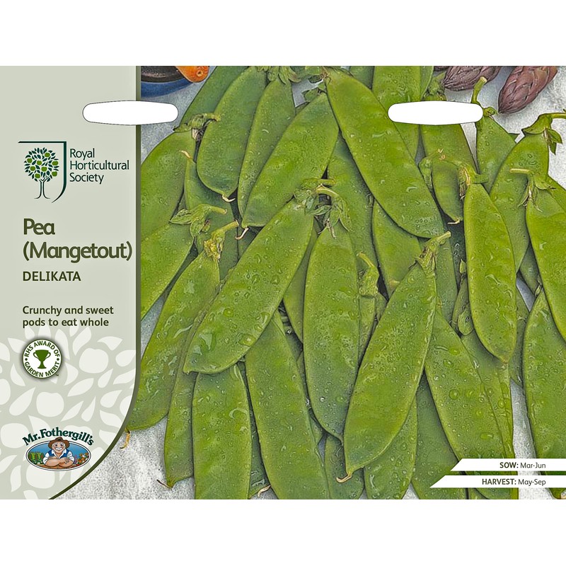 Mr Fothergills - Vegetable - RHS Pea (Mangetout) Delikata -