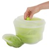 Apollo Salad Spinner