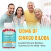 Zetelixia Ginkgo Biloba Gummies 120mg for Women & Men, Brain