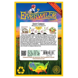 Everwilde Farms - 500 Savoy Cabbage Seeds - Gold Vault Jumbo Seed Packet