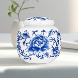 Abooxiu Small Urns for Human Ashes Keepsakes Ceramic Mini Urns Blue and White Porcelain Cremation Keepsake Urn for Ashes for Women Men Pets Urn Memorial Ash Keepsake for Loved Ones