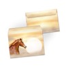 JuNa-Experten A5 Letter Paper Set with Envelopes Children Horse for