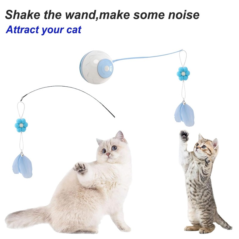 Cat Toilet Training Systems,Cat Toilet Training Kit,Reusable Plastic Trainer for