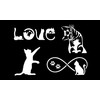 Cat Decal 4 Pack: Cat Pawing, Kitten Looking, Love, Infinity