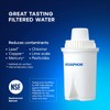 AQUAPHOR B15 Universal Replacement Water Filter cartridges, fits All Brita