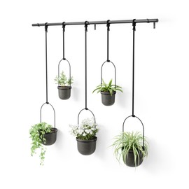 Umbra Triflora Hanging Planter, Set of 5, Black