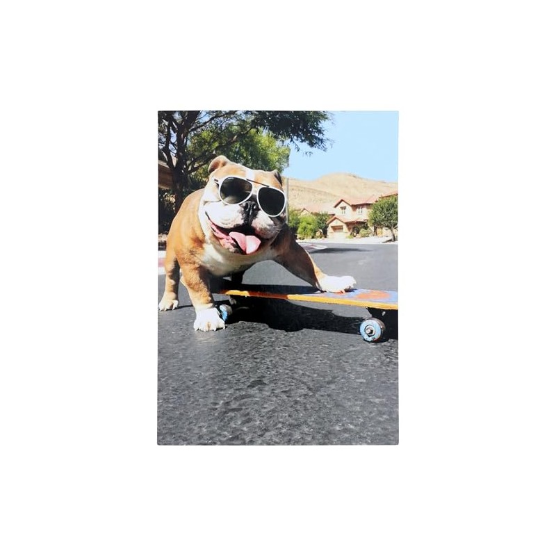 Bulldog/Sunglasses/Skateboard - Avanti Funny Dog Birthday Card