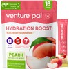 Venture Pal Sugar Free Electrolyte Powder Packets - Liquid Daily