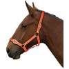 Gallop Basic Nylon Headcollar and Lead Rope Set, Cob Size,