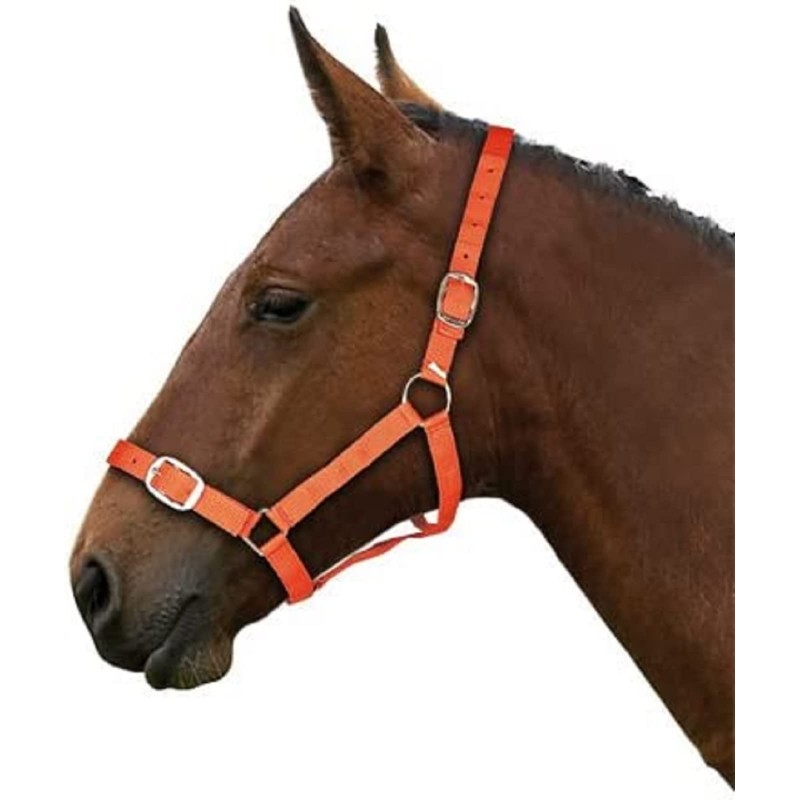 Gallop Basic Nylon Headcollar and Lead Rope Set, Cob Size,
